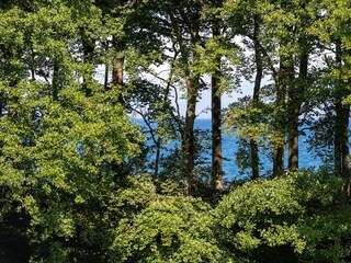 Blick vom Schlafzimmer