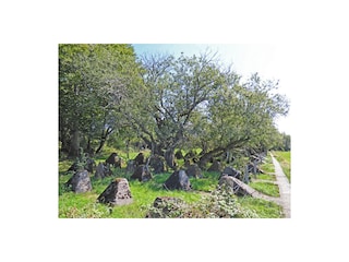 Appartamento per vacanze Lützkampen Ambiente 16