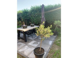 Appartamento per vacanze Sint Jacobiparochie Caratteristiche 25