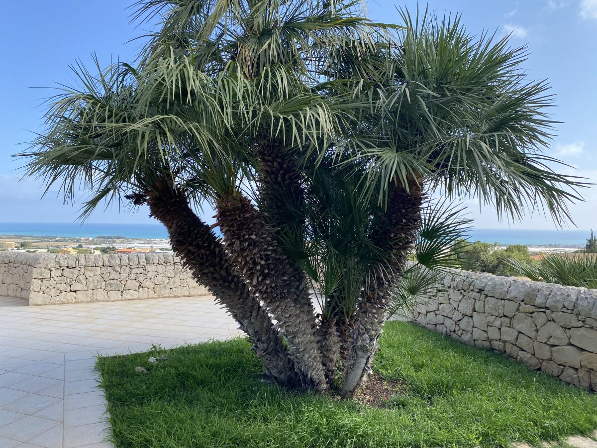 Blick von der Terrasse aufs Meer