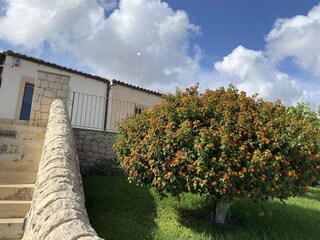 Villa Marina di Ragusa Buitenaudio-opname 8