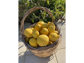 Villa Marina di Ragusa Ambiente 30