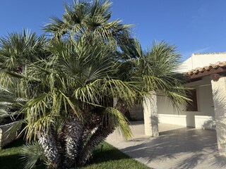 Überdachte Terrasse