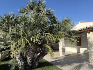 Villa Marina di Ragusa Environment 7
