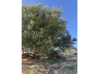 Villa Marina di Ragusa Buitenaudio-opname 5