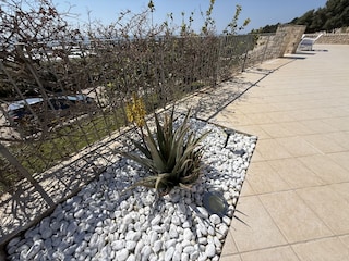 Villa Marina di Ragusa Environment 10