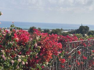 Villa Marina di Ragusa Buitenaudio-opname 15