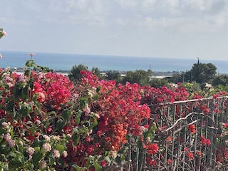 Villa Marina di Ragusa Environment 11