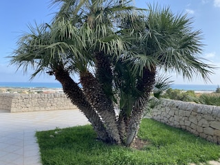 Villa Marina di Ragusa Registrazione all'aperto 17