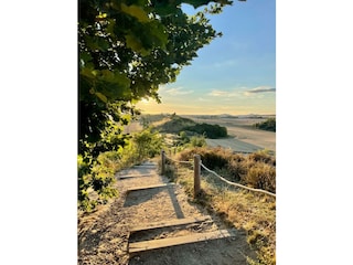 Ferienwohnung Thale - Bodetal Umgebung 39