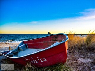 Ferienhaus Zingst Umgebung 17
