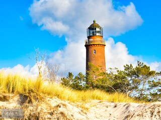 Ferienhaus Zingst Umgebung 18