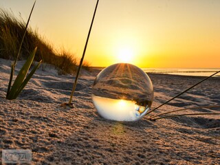 Ferienhaus Zingst Umgebung 20