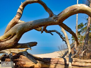 Ferienhaus Zingst Umgebung 21
