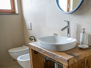 Villa Momjan Caratteristiche 13