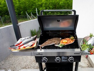 Grillbereich