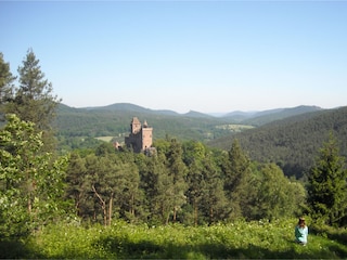 Appartamento per vacanze Erlenbach Ambiente 20