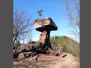 Holiday apartment Erlenbach Environment 27