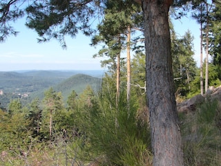 Appartamento per vacanze Erlenbach Ambiente 29