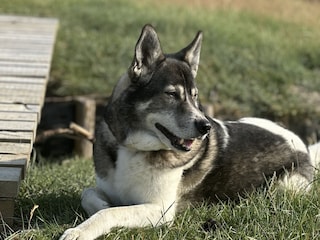 Holiday house Nordstrand Environment 30