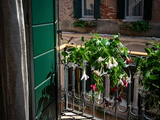 Apartment Venedig Outdoor Recording 4