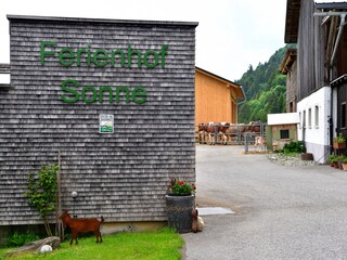 Appartamento per vacanze Hittisau Registrazione all'aperto 4