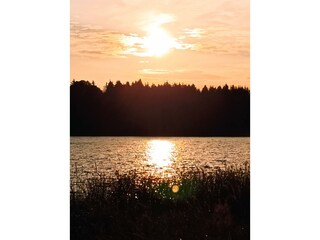 Dreifelder See