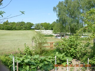 Gemüsergarten zur Selbstbedienung