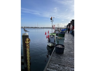Hafen