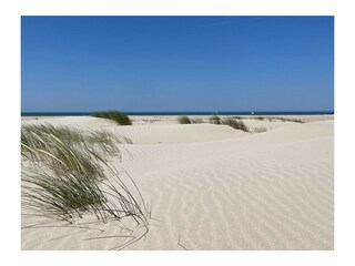 Casa per le vacanze Bruinisse Ambiente 29