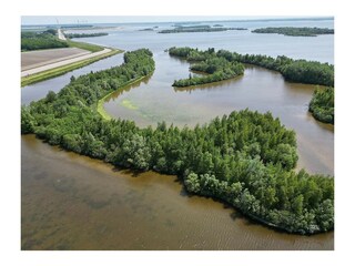 Casa per le vacanze Bruinisse Ambiente 32