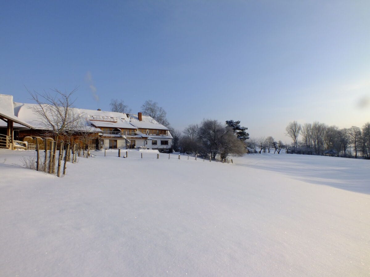 Der Gripshof im Winter