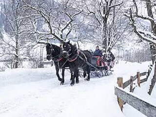 Appartamento per vacanze Rauris Ambiente 27