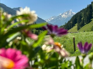 Appartamento per vacanze Rauris Registrazione all'aperto 8