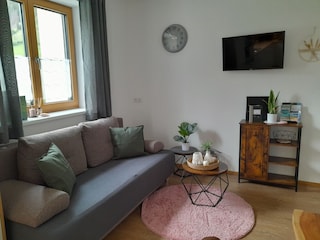 comfortable sofa bed