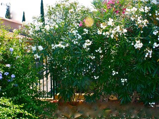 Holiday house Le Plan-de-la-Tour Outdoor Recording 21