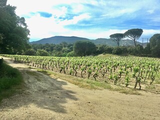 Casa per le vacanze Le Plan-de-la-Tour Ambiente 52