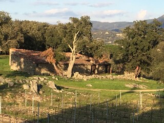Casa per le vacanze Le Plan-de-la-Tour Ambiente 50