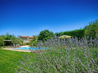 Villa Radetići Buitenaudio-opname 7