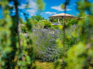Villa Radetići Buitenaudio-opname 12