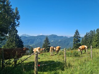 Casa de vacaciones Übersee Entorno 19