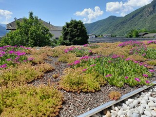 Appartamento per vacanze Bozen Registrazione all'aperto 4