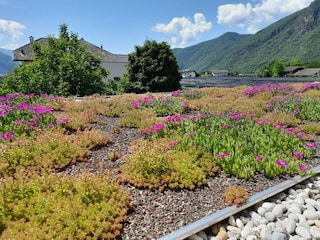 Vakantieappartement Bozen Buitenaudio-opname 4