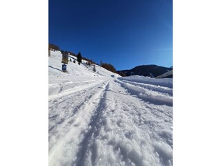Appartamento per vacanze Bozen Ambiente 31