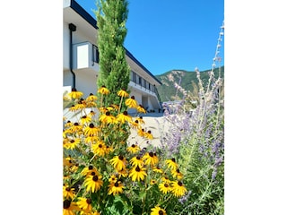 Holiday apartment Bozen Outdoor Recording 6