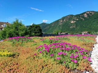 Appartamento per vacanze Bozen Registrazione all'aperto 4