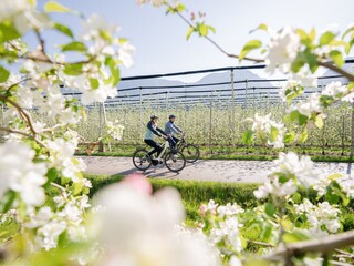 Appartamento per vacanze Bozen Registrazione all'aperto 8