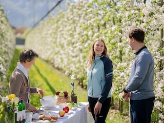 Apfelführung TVLeifers©ThomasMonsorno