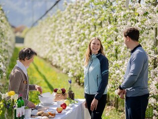 Appartamento per vacanze Bozen Ambiente 21
