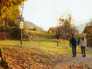 Appartamento per vacanze Bozen Ambiente 33